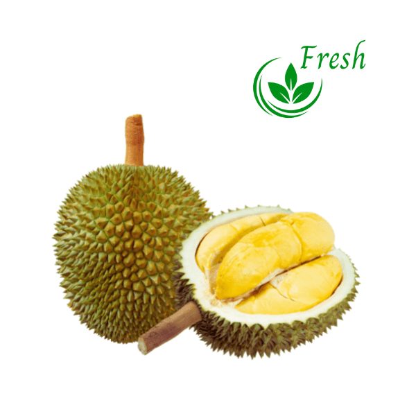 Sầu riêng Ri6