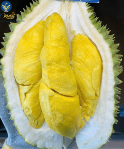 Sầu Riêng Musang King