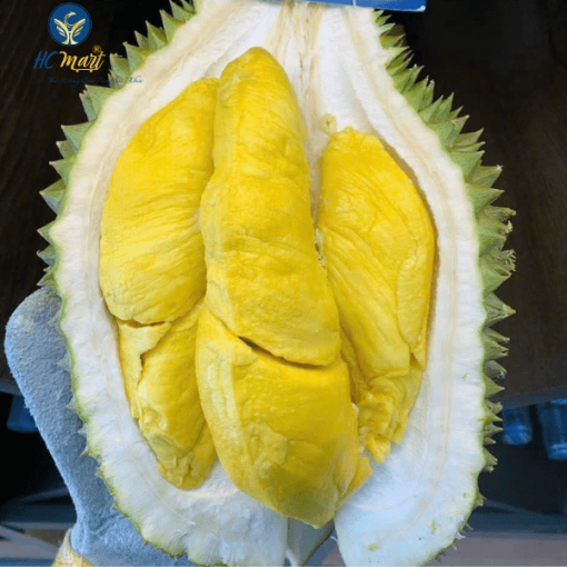 Sầu Riêng Musang King