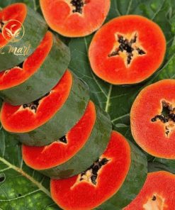 Đu Đủ Ruột Đỏ