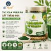 TẢO XOẮN SPIRULINA SẤY THĂNG HOA